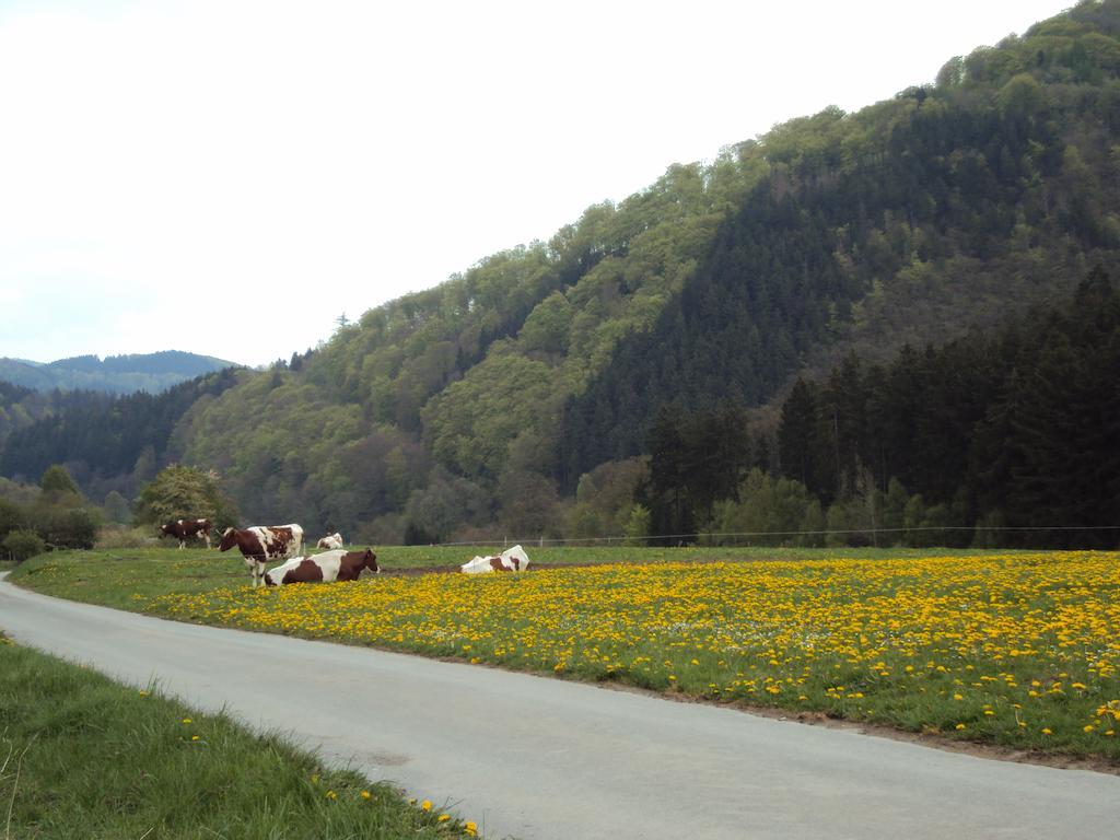 Gasthof Zum Diemeltal Marsberg Exteriör bild