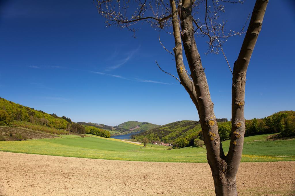 Gasthof Zum Diemeltal Marsberg Exteriör bild