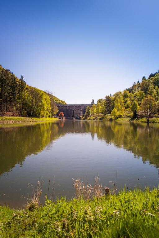 Gasthof Zum Diemeltal Marsberg Exteriör bild